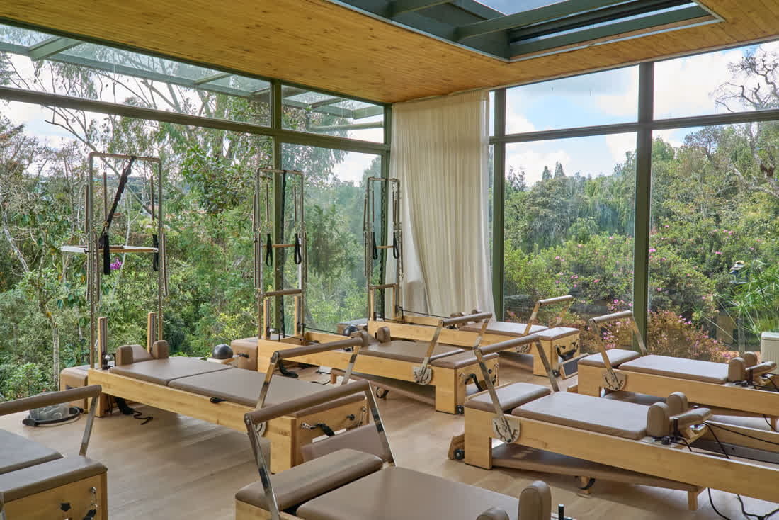Sala de Pilates Reformer con ventanales panorámicos al bosque