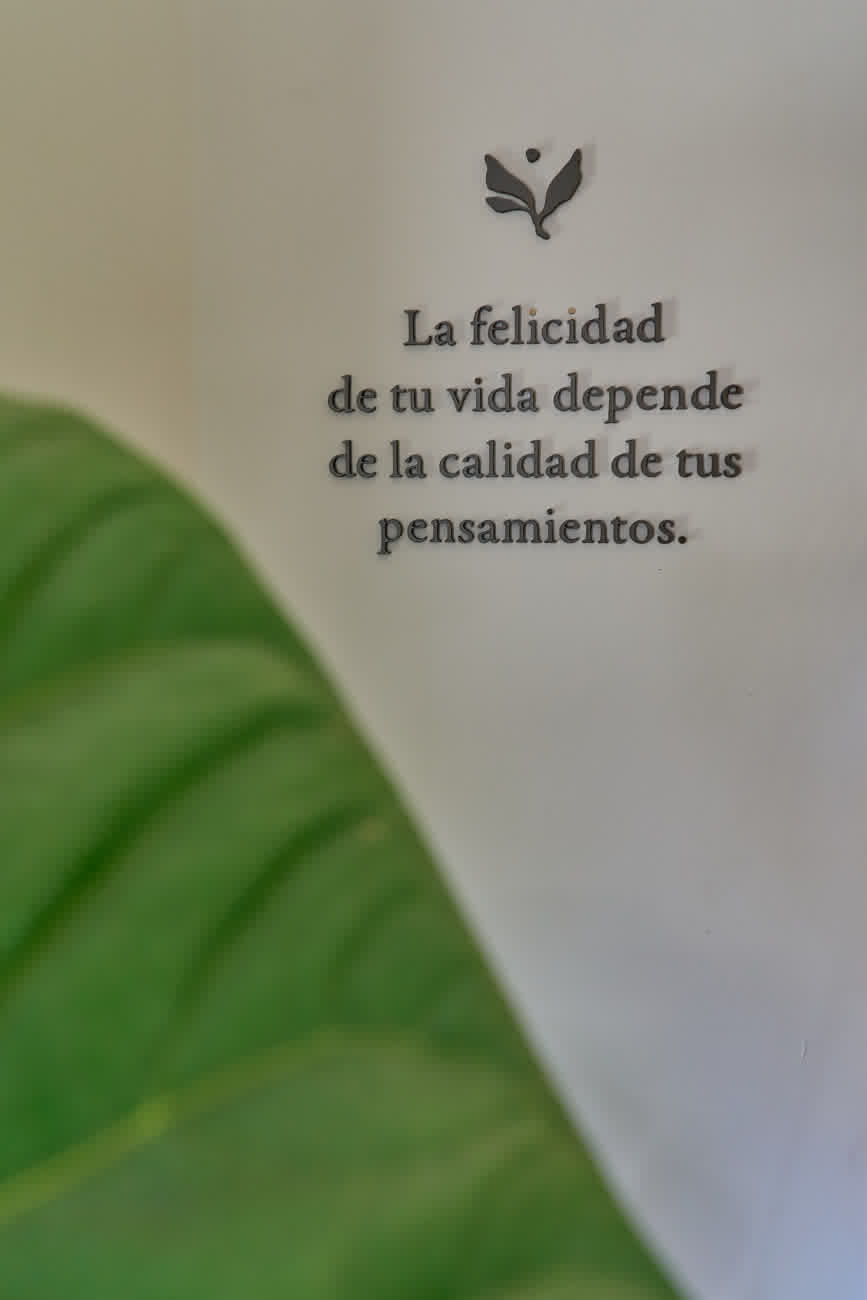 Detalle: frase inspiradora en la pared del estudio